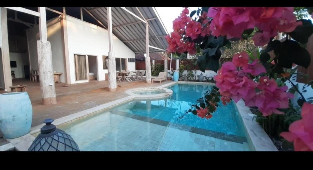 David Villa Quần đảo Gili Phòng bức ảnh